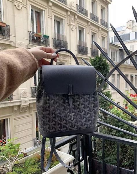 cisalpin backpack goyard|Goyard alpin mini backpack.